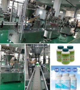 Powder Filling Machine