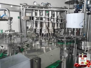 Wine Filling Machine
