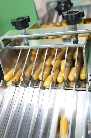 Capsule Filling Machine