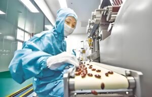 Capsule Filling Machine