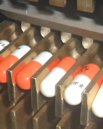 Filling machine with capsules being sorted and moved along a conveyor system.