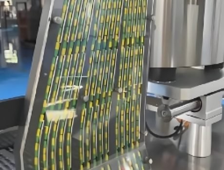 Pharmaceutical capsules on a conveyor belt moving through production.