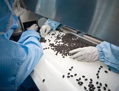 Close-up of capsules moving through a pharmaceutical packaging system.